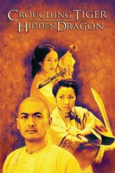Download Crouching Tiger Hidden Dragon (2000) Dual Audio {Hindi-English} BluRay 480p [400MB] | 720p [800MB] | 1080p [2.5GB]