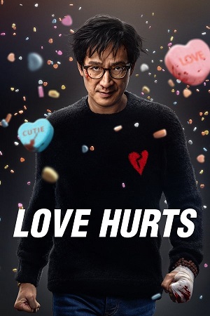 Download Love Hurts (2025) Blu-Ray Dual Audio {Hindi-English} 480p [380MB] | 720p [800MB] | 1080p [2.2GB]